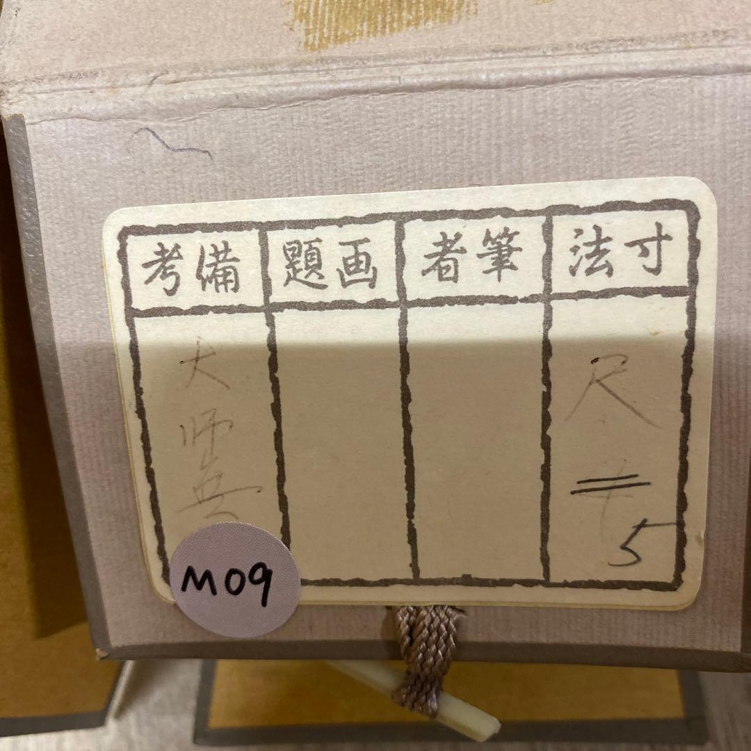 【アウトレット掛軸】仏画 十三仏 5尺(約151cm) M09