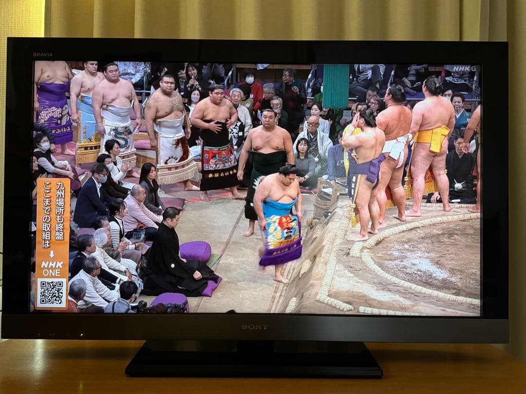 SONY ソニー　 KDL-40EX500 液晶テレビ 40インチ