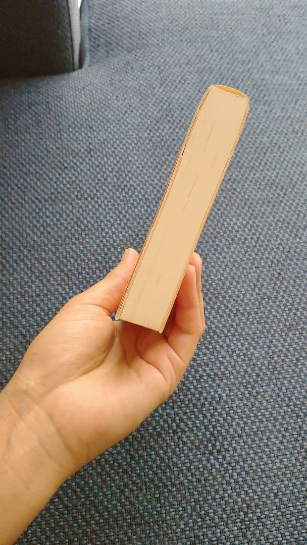 リアリティ トランサーフィン全4巻セット