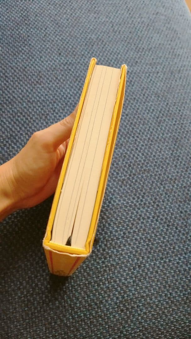 リアリティ トランサーフィン全4巻セット