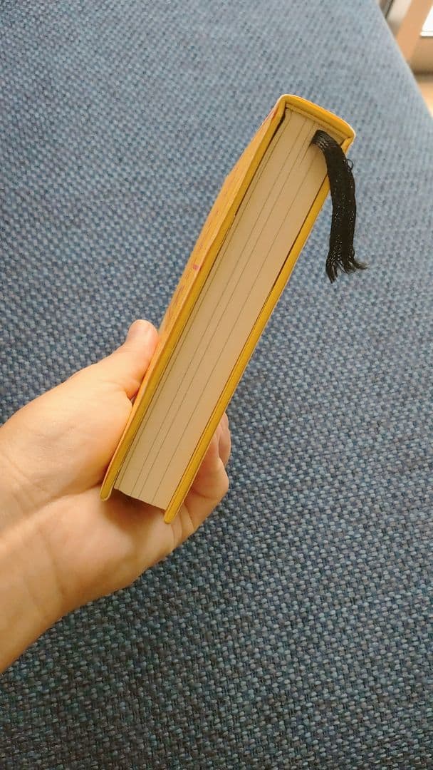 リアリティ トランサーフィン全4巻セット