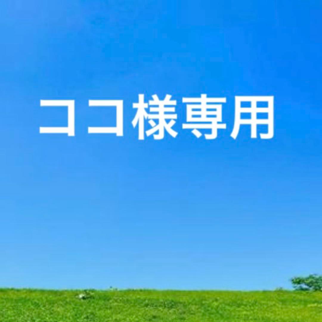 未使用　ANNA SUI アナスイ　レザー二つ折り財布　マルチカラー　パイソン