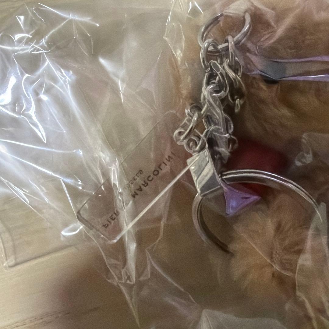 シュタイフSteiffピエールマルコリーニコラボベア