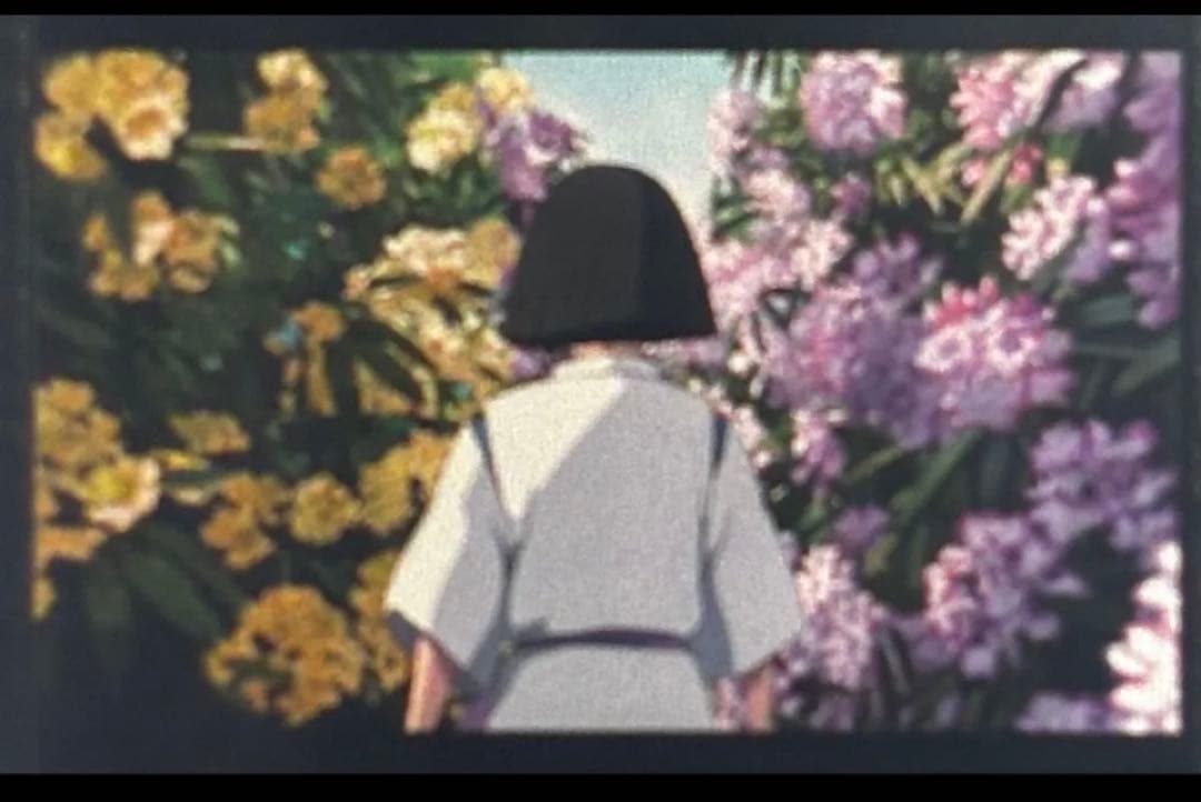 三鷹の森ジブリ美術館 フィルム 入場券 チケット 千と千尋の神隠し