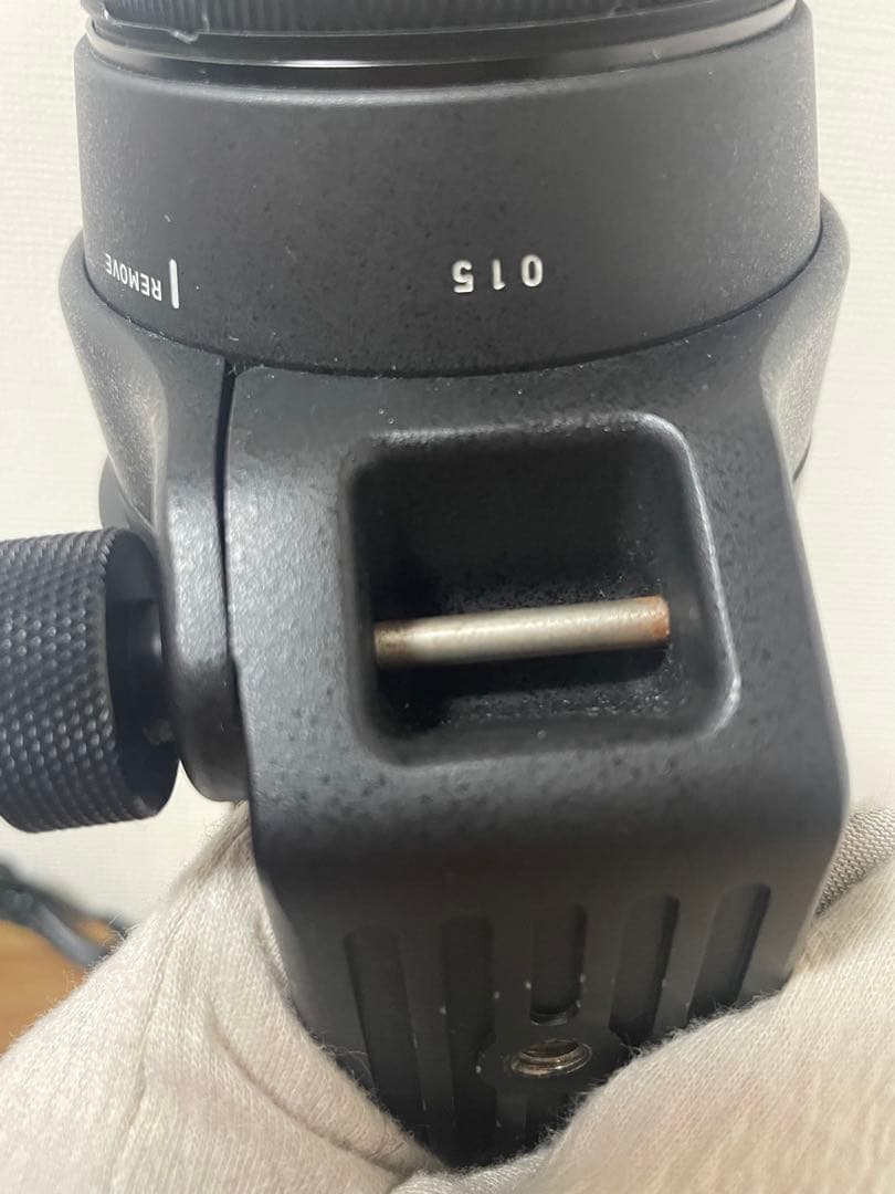 シグマ150-600mm Canan EFマウント