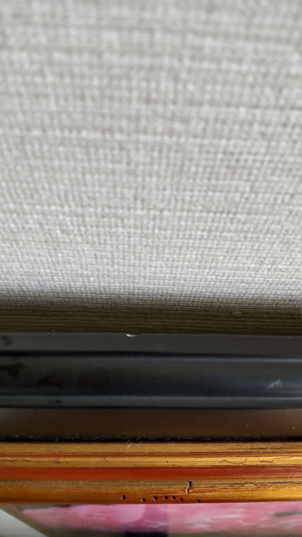 J.ピエール.カシニョール  リトグラフ