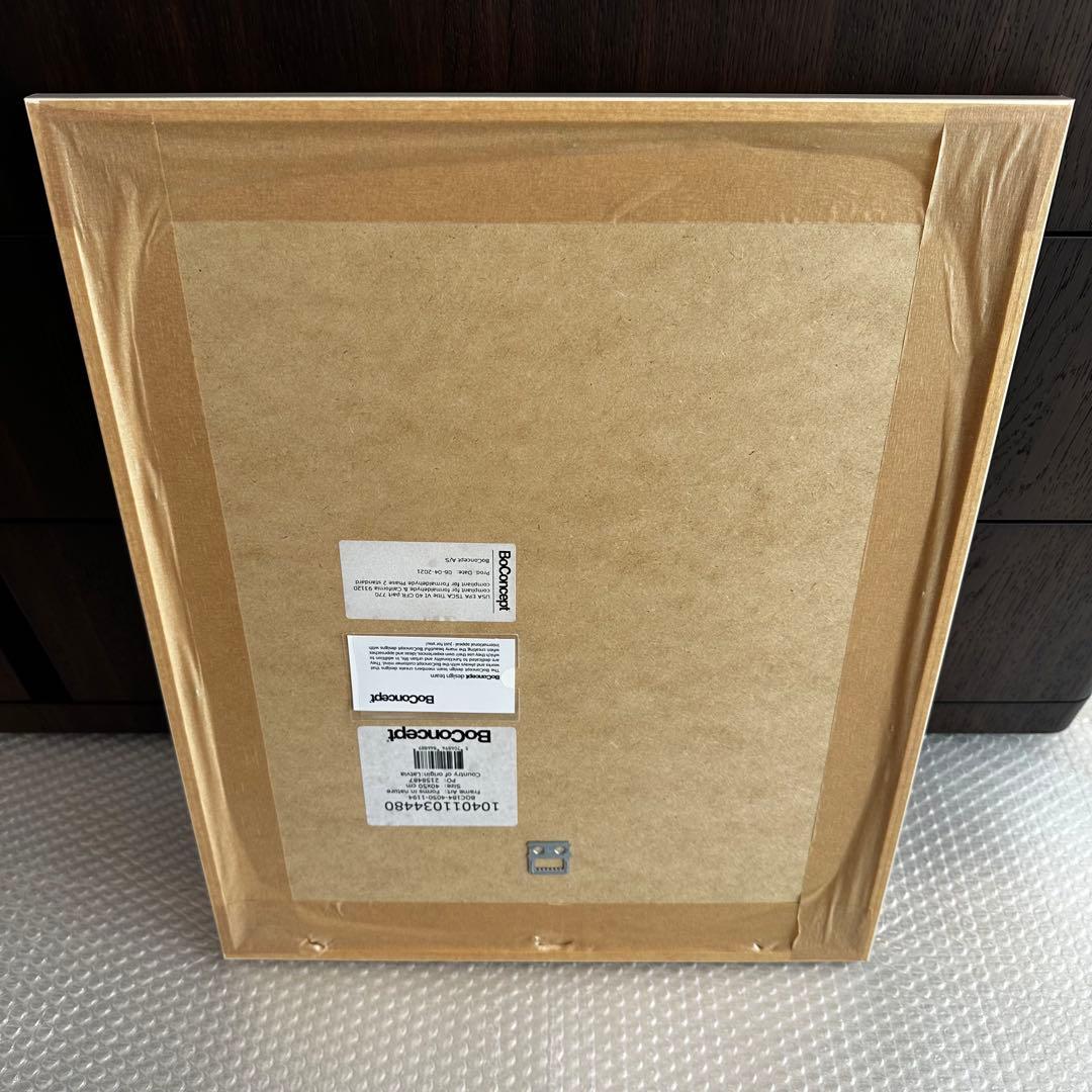 BoConcept ボーコンセプト アートパネル Form in nature