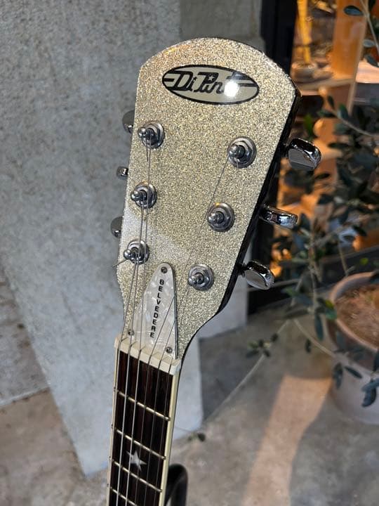 ギター Di Pinto