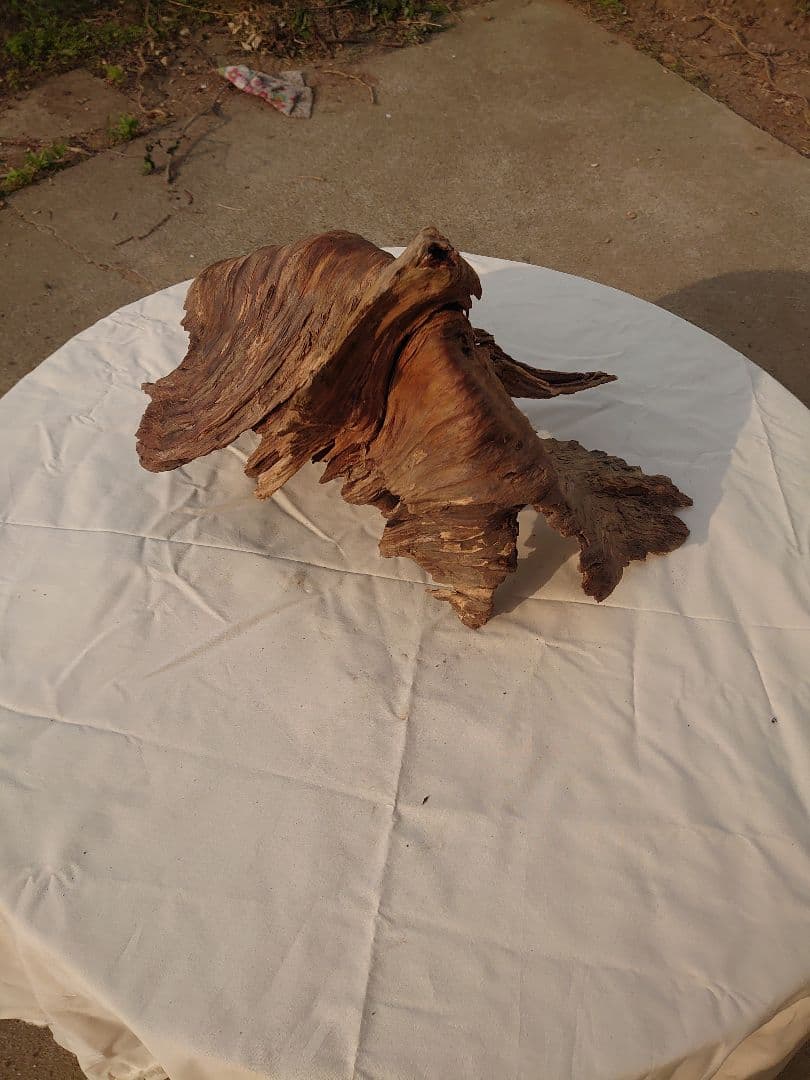 アクアリウム・テラリウム向き流木枯木