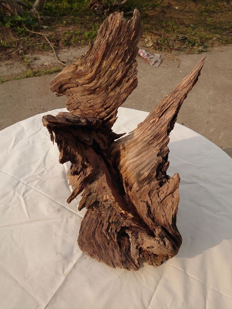 アクアリウム・テラリウム向き流木枯木