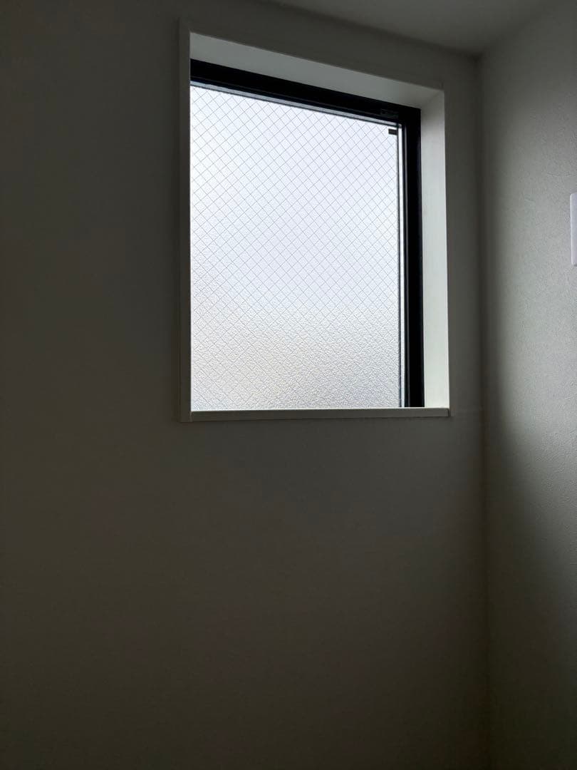 FLIR C2 サーマルカメラ