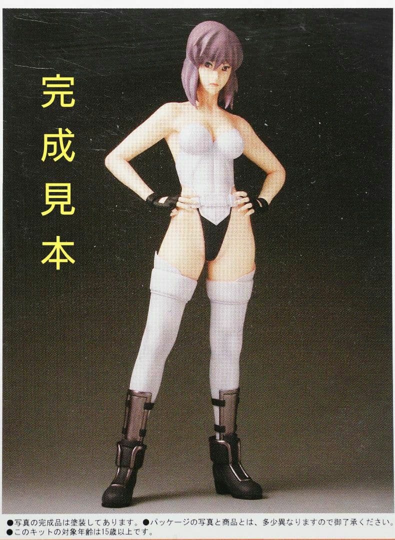 「攻殻機動隊SAC2ndGIG/草薙素子」 1/6スケール レジンキャストキット