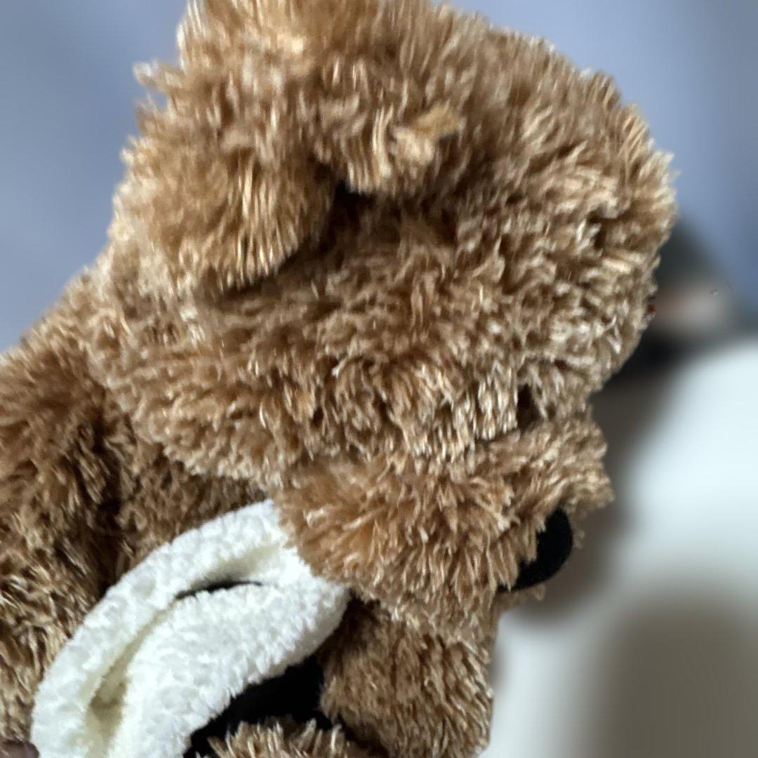 希少 harley-davidson ハーレー　ティディベア　ぬいぐるみ　バイク