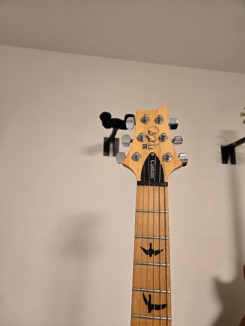 レフティ　PRS SE custom24 ケース付き