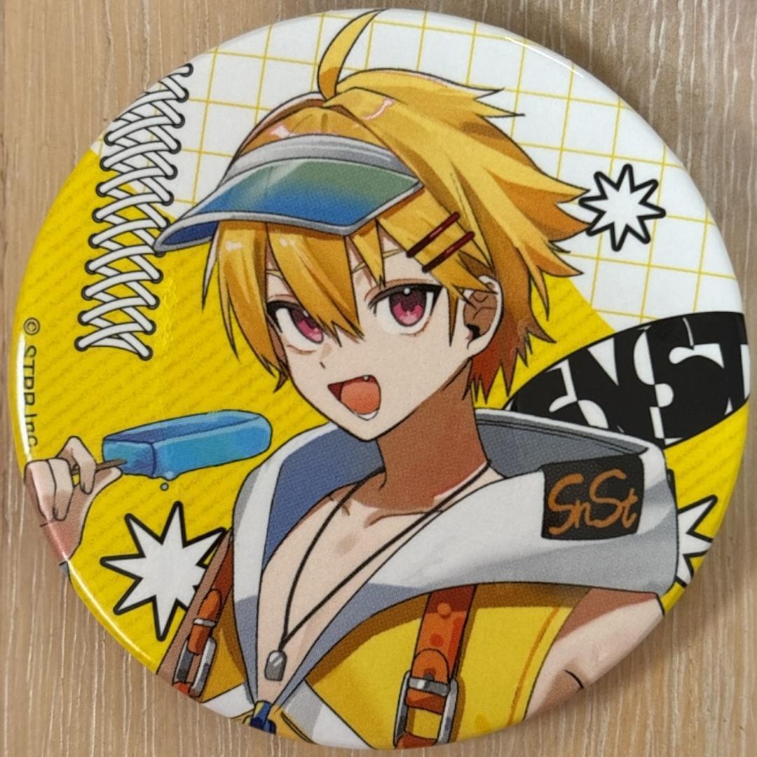 やなと Summer ver. すにすて 缶バッジ 10点