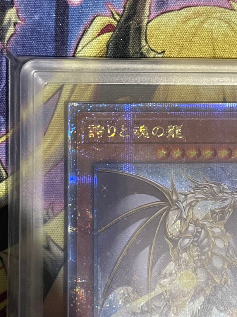 【ARS10+】誇りと魂の龍　日版　鑑定書付き