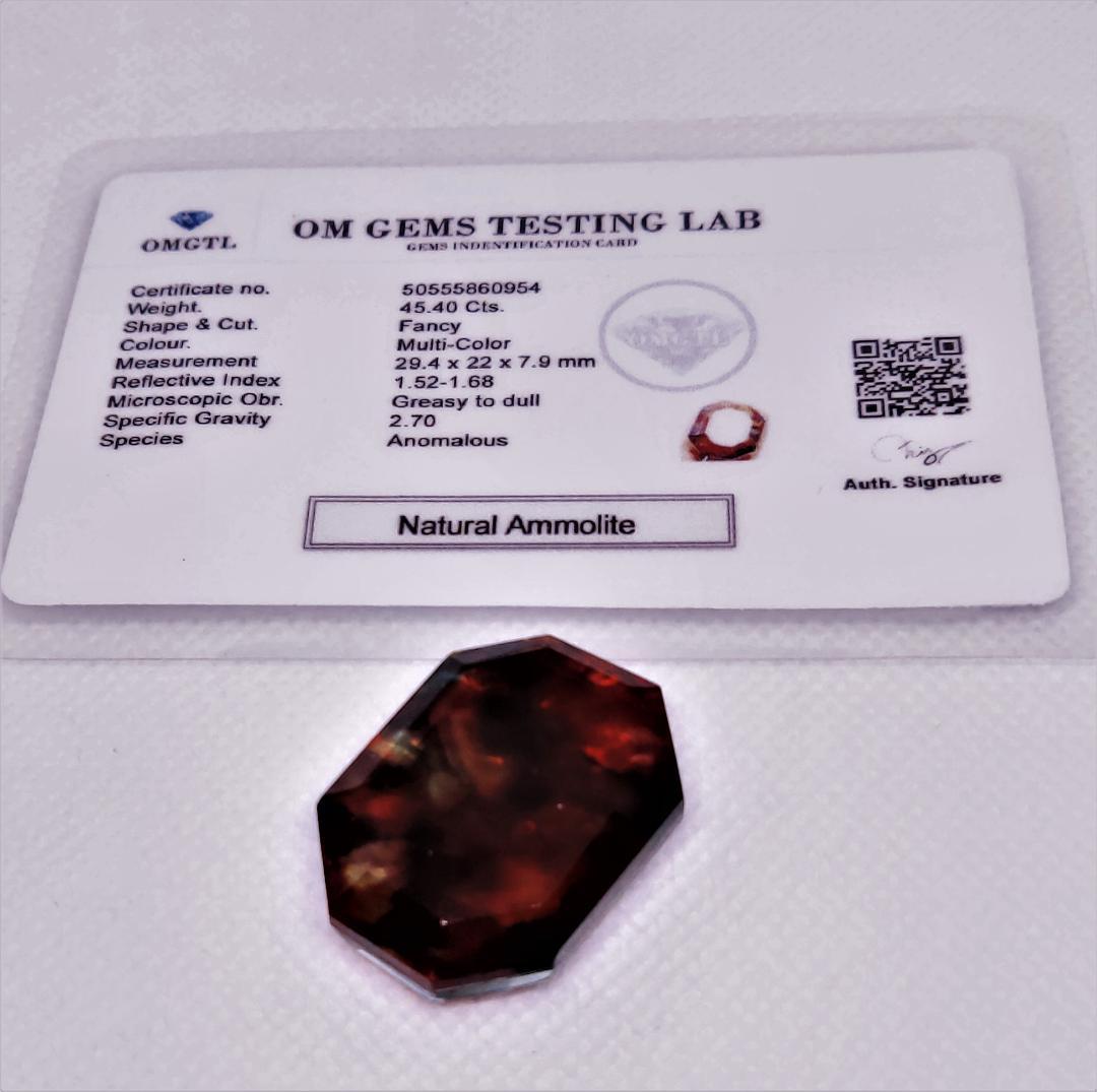 アンモライト 45.40Ct 証明証付 オパール アンモナイト パワーストーン