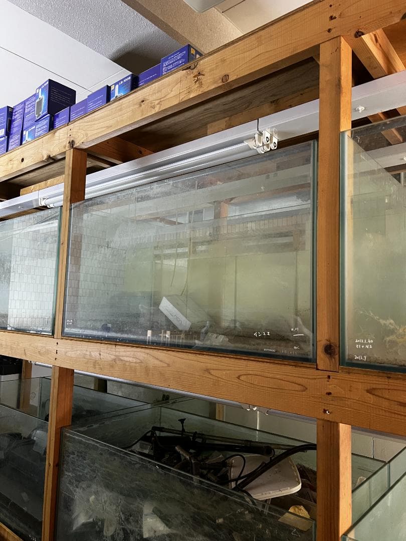 ガラス水槽 使用済品 中古 汚れあり 引き取り限定(埼玉)