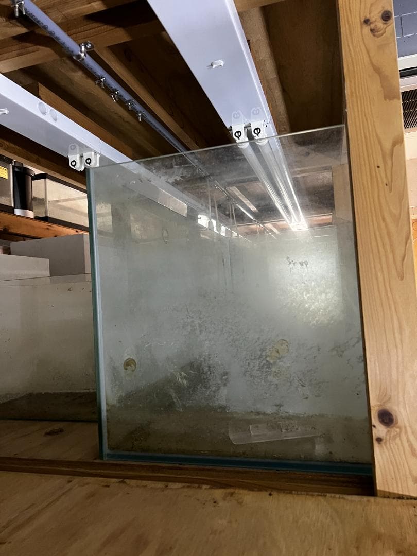 ガラス水槽 使用済品 中古 汚れあり 引き取り限定(埼玉)