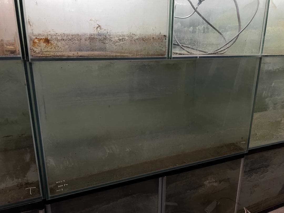 ガラス水槽 使用済品 中古 汚れあり 引き取り限定(埼玉)