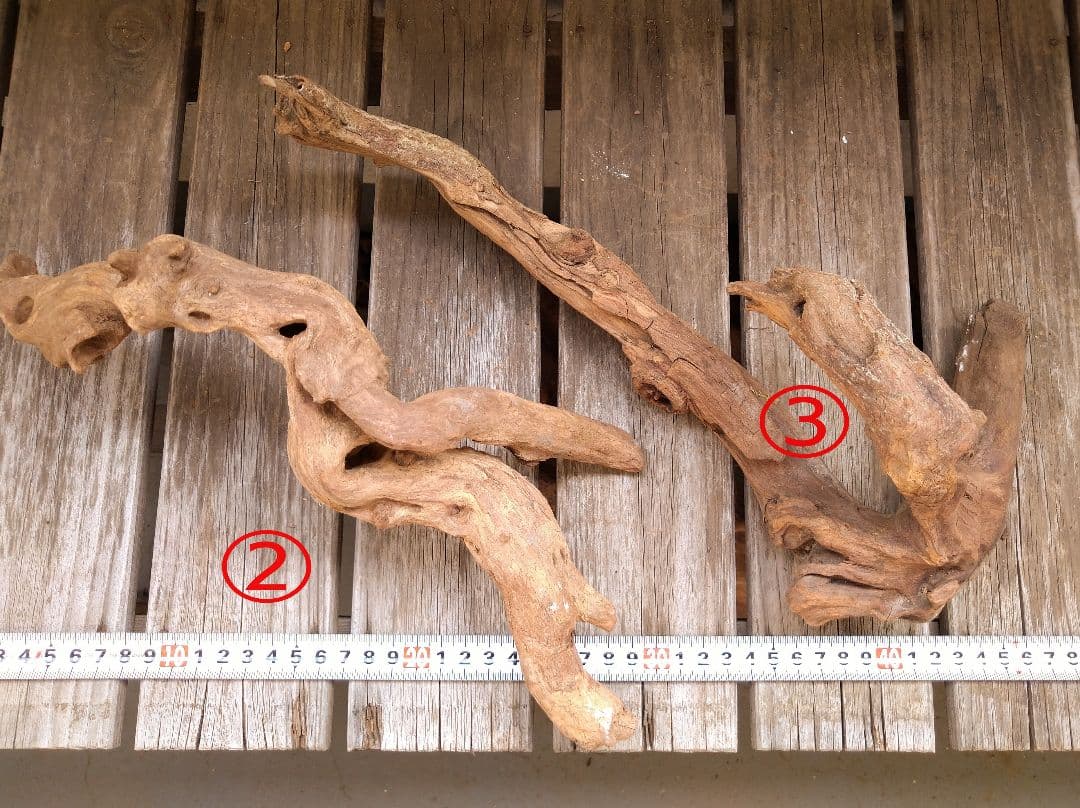 アクアリウム用品　レイアウト 良型 流木 Ｍ Ｌサイズ　７本セット