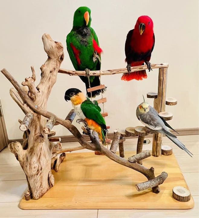 150cmハンドメイドバードアスレチック 鳥インコ止まり木 小型 中型 大型兼用
