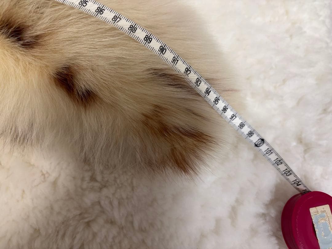 お正月セール　極美品　SAGA MINKマフラー