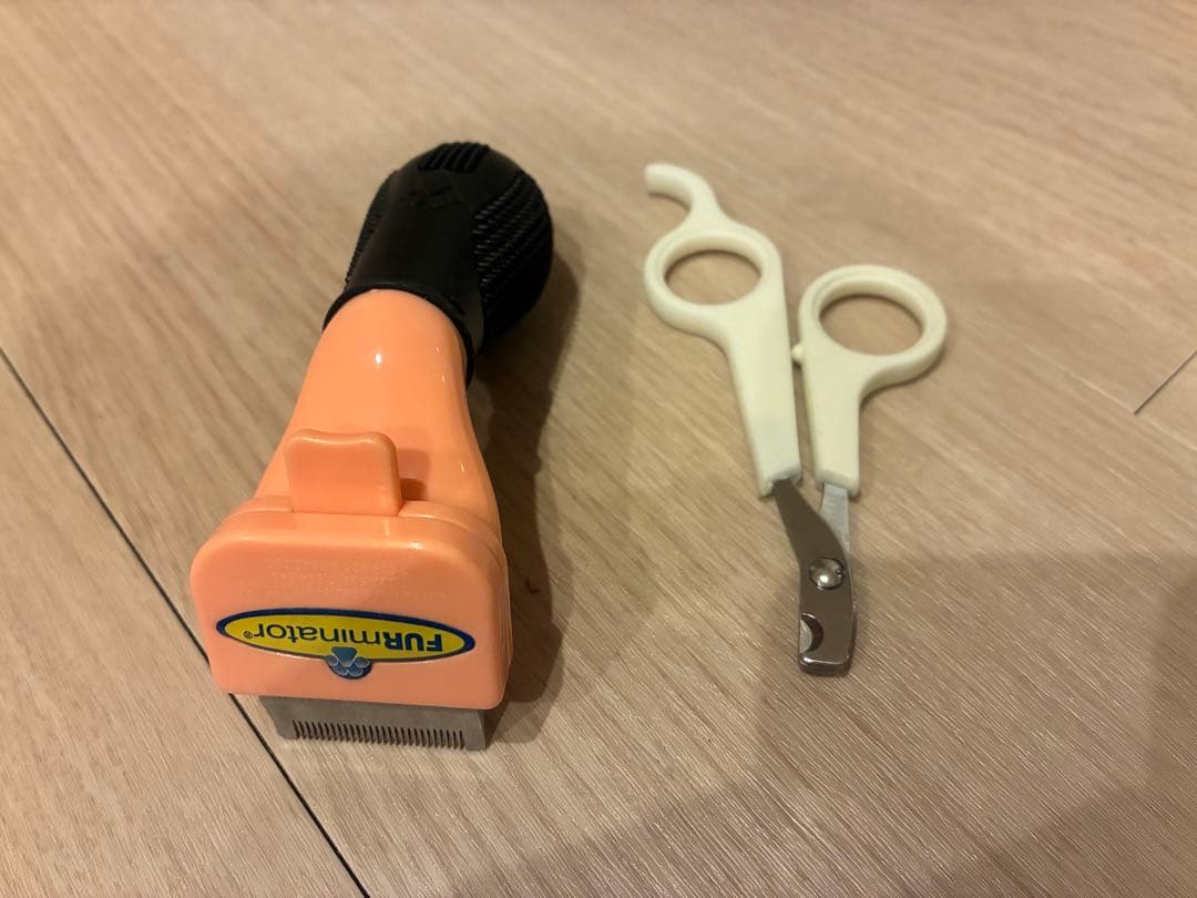 うさぎ　飼育セット