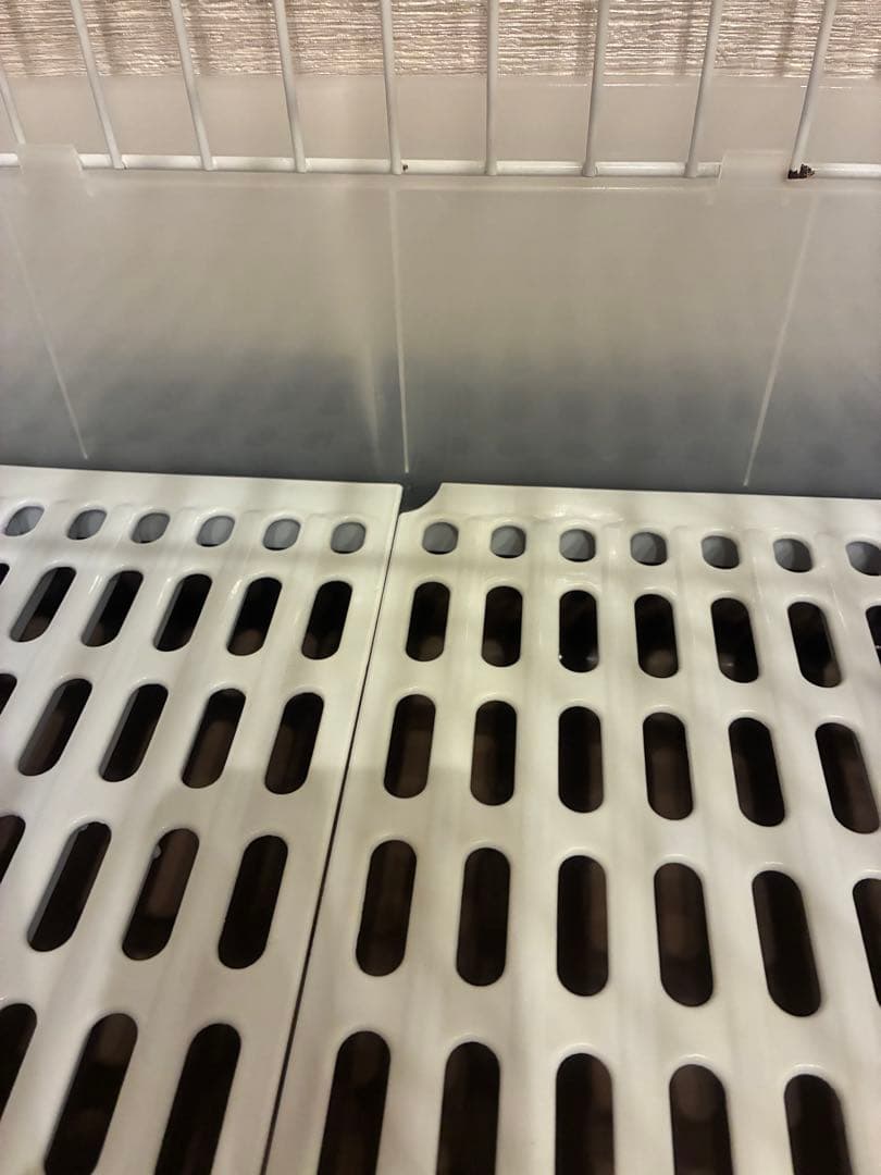 うさぎ　飼育セット