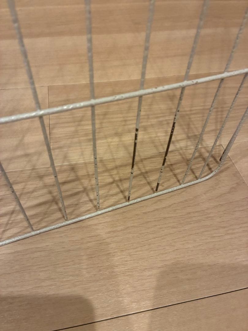 うさぎ　飼育セット