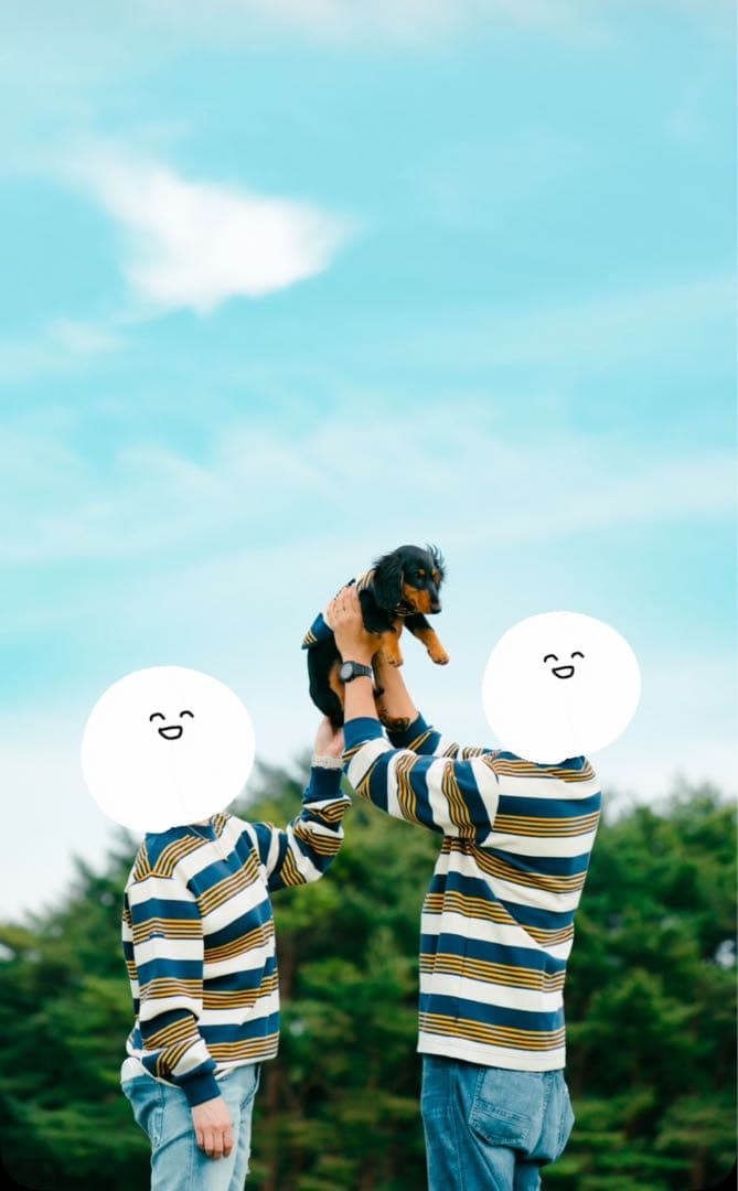 ドッグデプト　DOG DEPT ランダムボーダー　3枚セット　お揃いコーデ