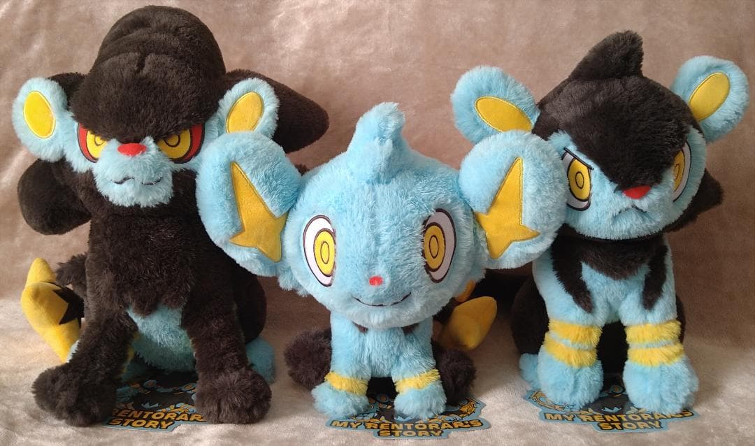 MY RENTORAR'S STORY コリンク ルクシオ レントラー