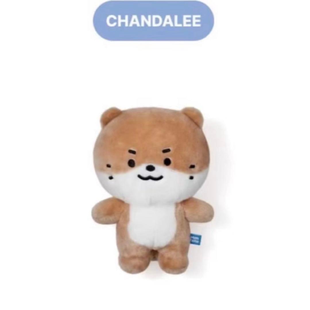 miniteen ミニティーン DINO ディノ セブチ