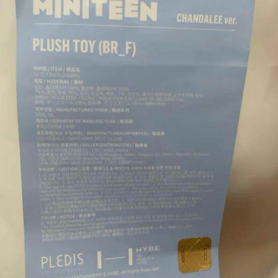 miniteen ミニティーン DINO ディノ セブチ