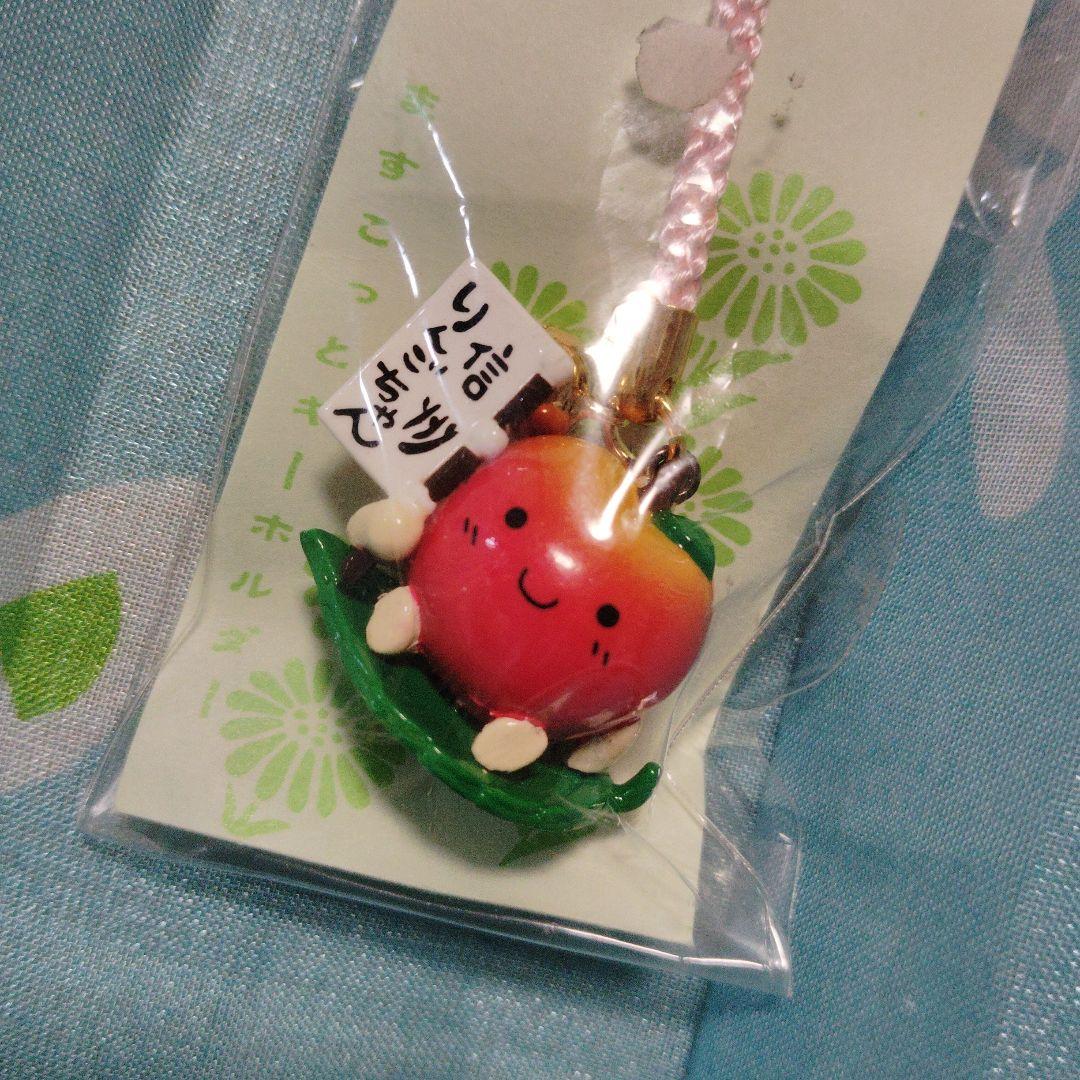 信州りんごちゃん 長野　ストラップ 根付け　ご当地