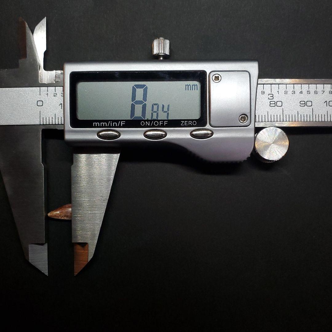 希少 ポストスクス 爬虫類 歯 化石 ニューメキシコ産 18.91mm fr64