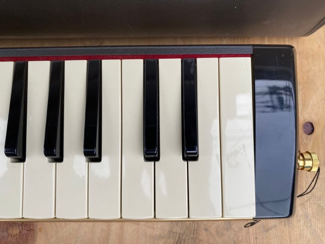 suzuki pro-37 専用ケース付き　ピアニカ　中古品