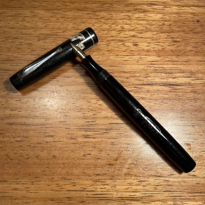 sailor セーラー 万年筆 iridium