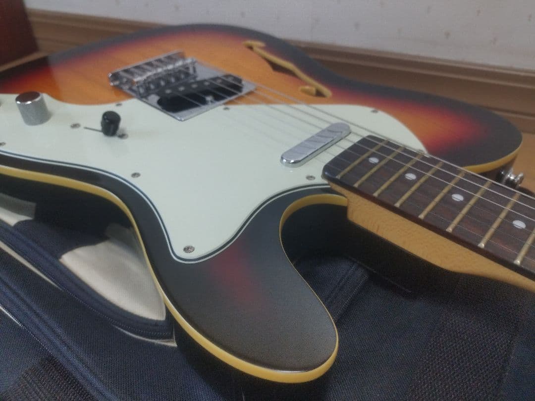 テレキャスター シンライン　Monogram MGT-TH