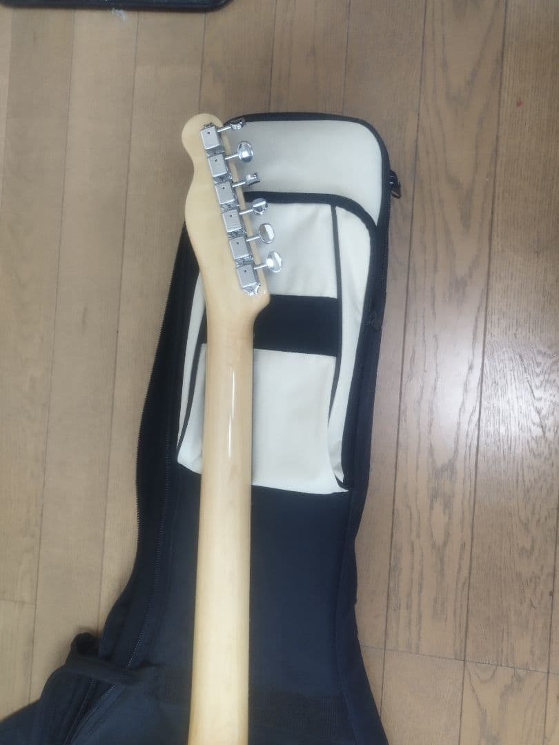 テレキャスター シンライン　Monogram MGT-TH