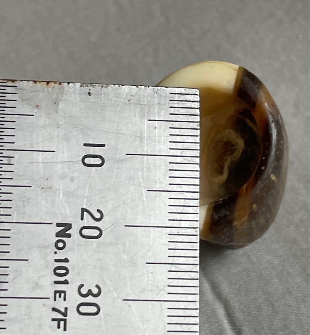 三線用　爪　鯨髭＋鯨歯　Bタイプ　最終出品分