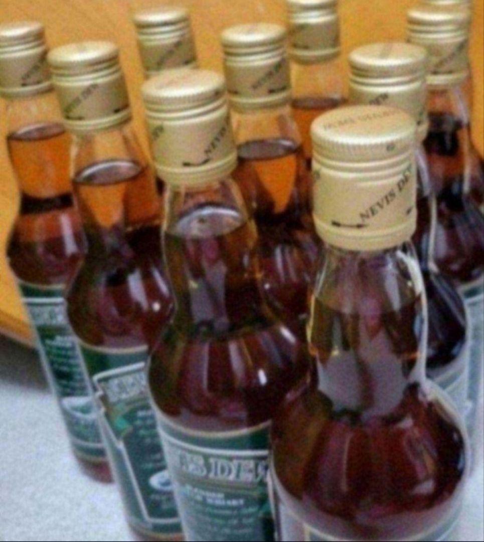 新品未開封【NEVIS DEW】×10本(700ml)