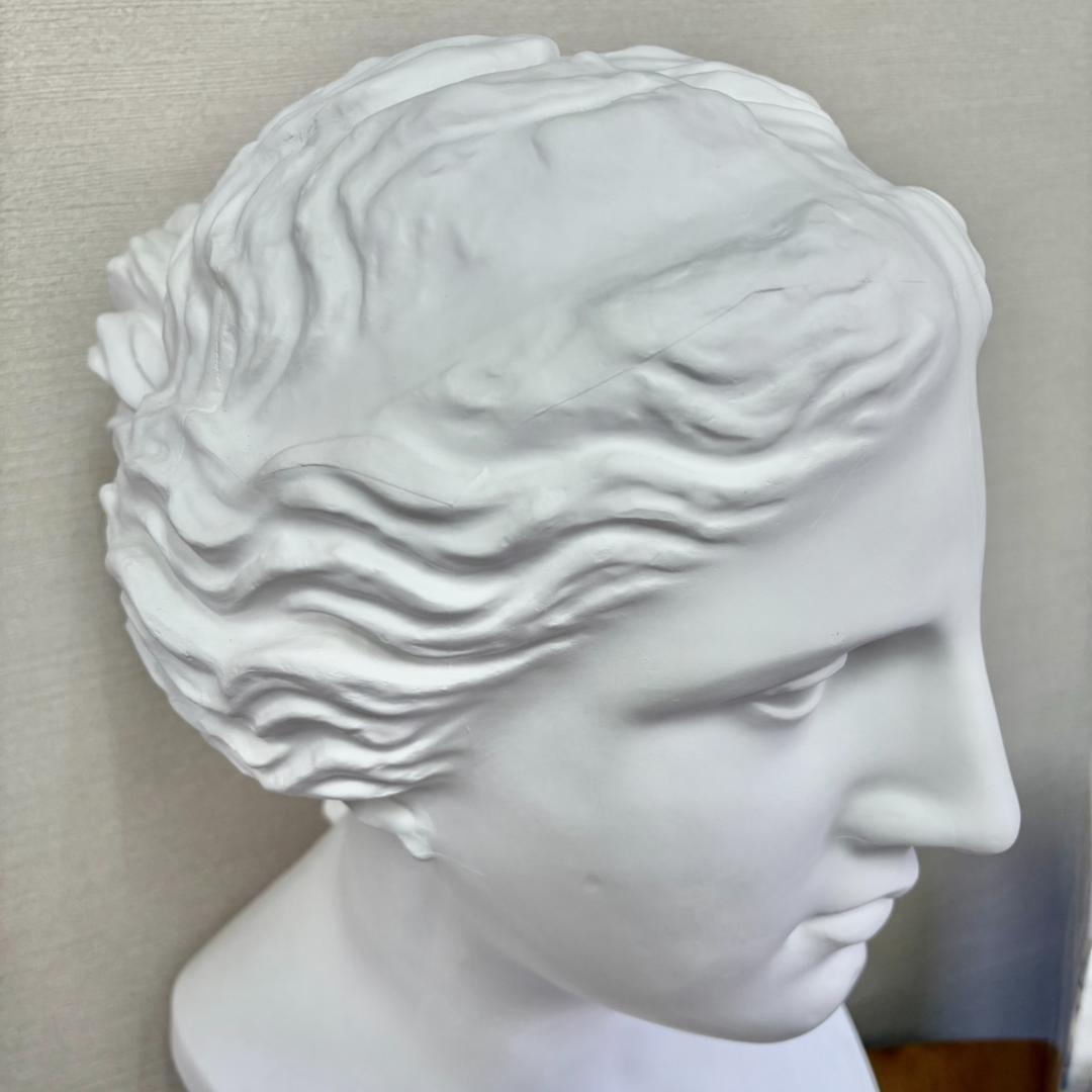 ヴィーナス胸像 デッサン用 石膏像 胸像 中古 教材 オブジェ インテリア 美術