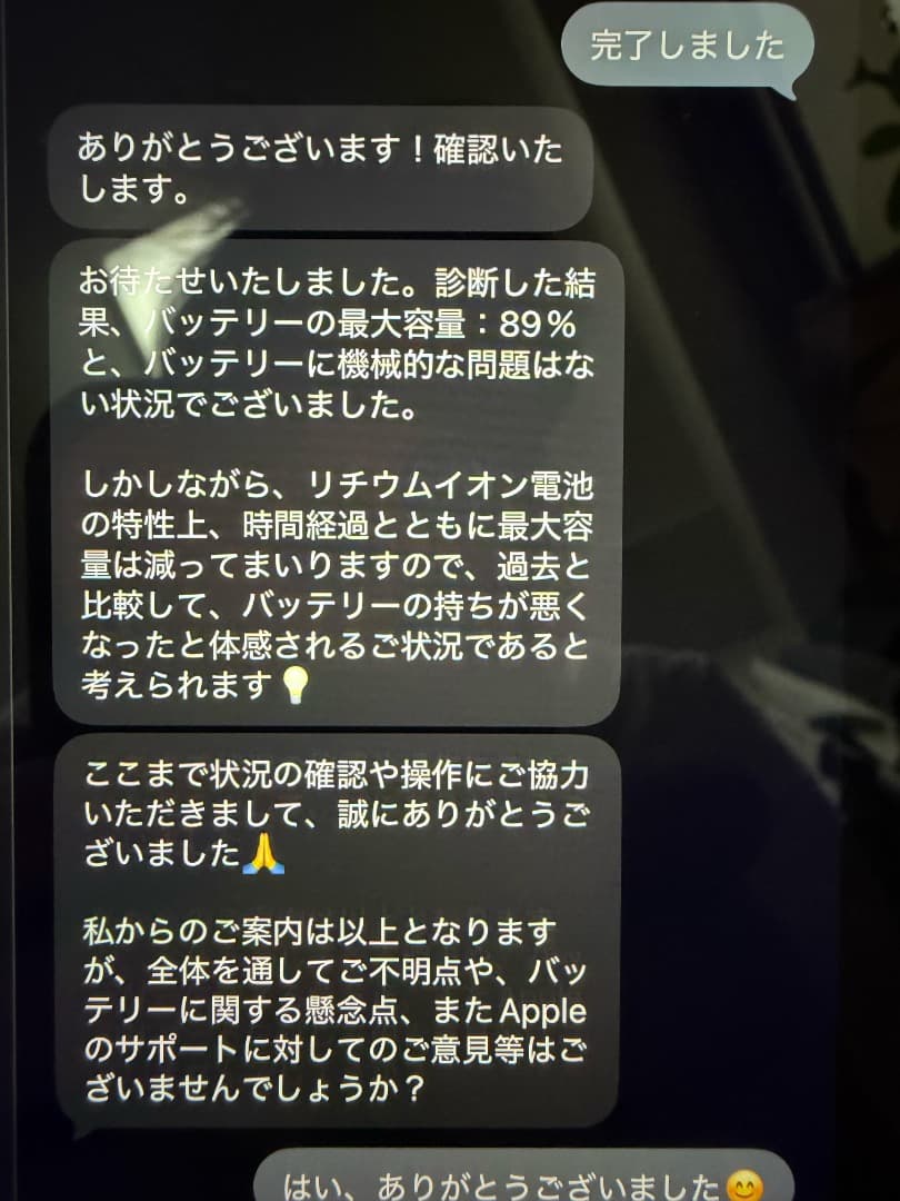 iPad mini6 256G +Apple Pencil ll +純正ケース