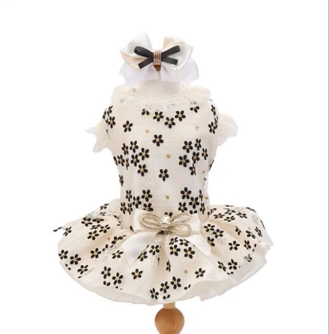 trilly tutti brilli トゥリィリトゥッティブリィリ