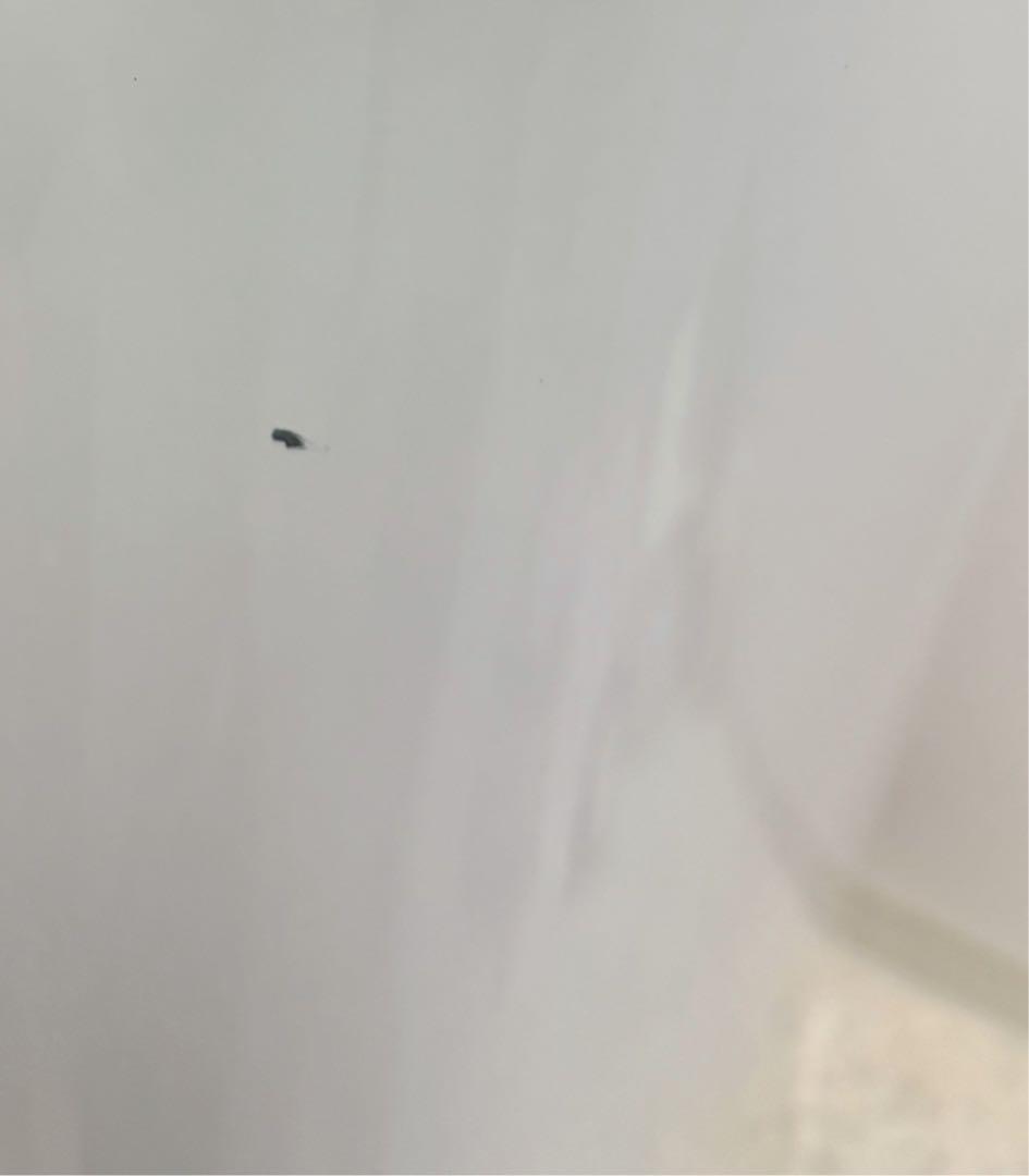 本日限定‼️ Panasonic 洗濯 乾燥機 NA-FW80S3