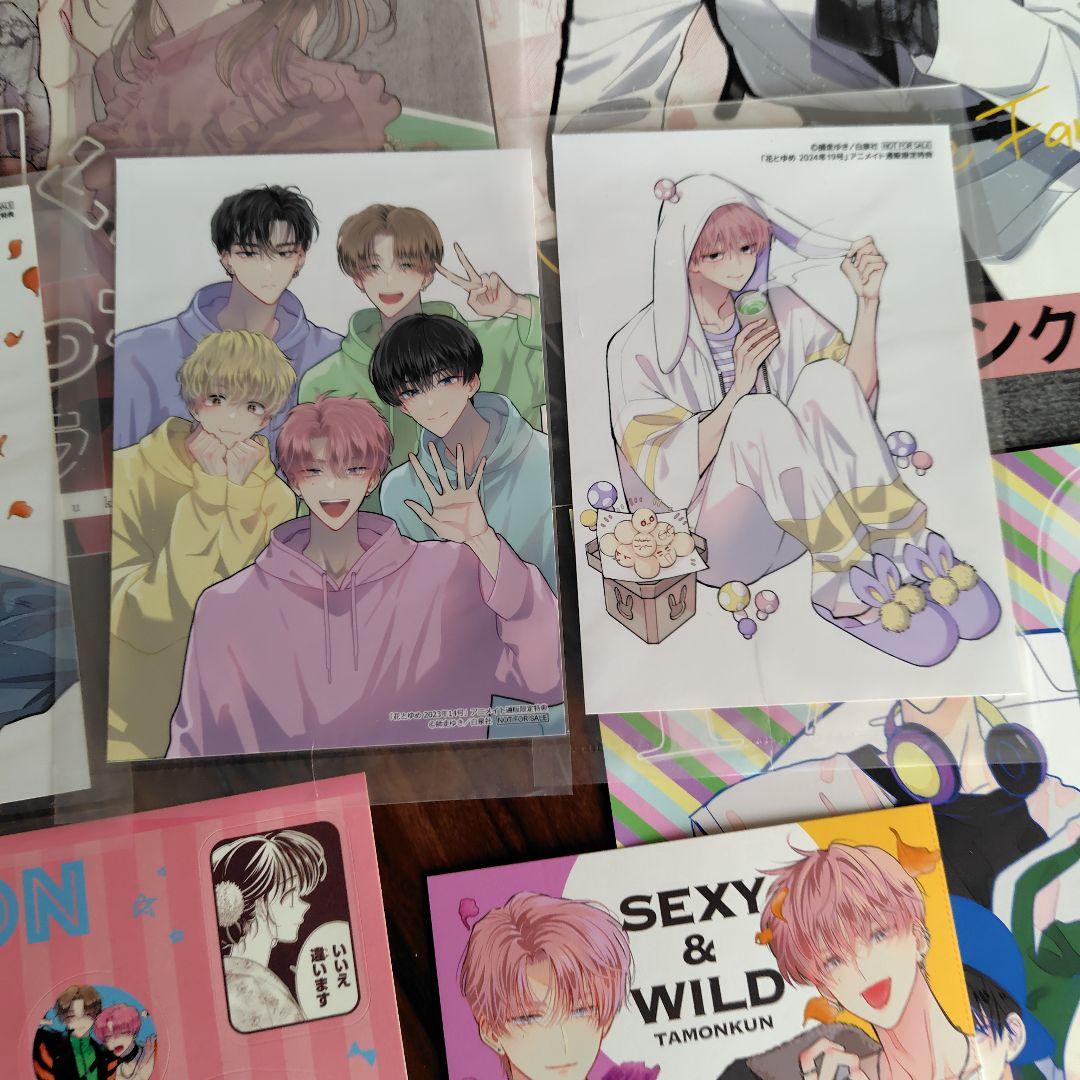 多聞くん今どっち　まとめ売り