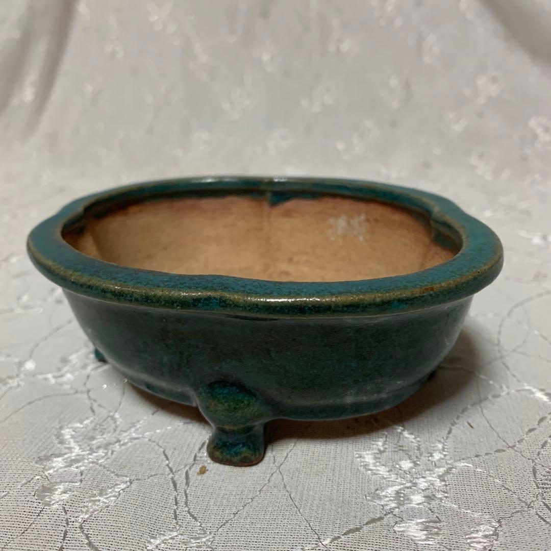 浩山　もっこ　盆栽鉢