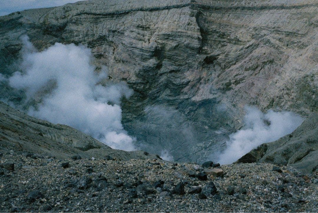 かりん Leica ライカ CM SUMMARIT 40mm F2.4