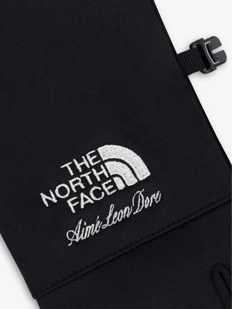 THE NORTH FACE × Aimé Leon Dore 手袋 【XL】